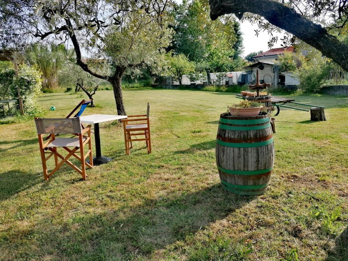 Bed and Breakfast Nonna Piera Марина-ди-Каррара Экстерьер фото